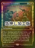 [FOIL] 貴顕廊一家の隆盛/Maestros Ascendancy No.381 (ショーケース版・箔押し仕様) 【英語版】 [SNC-金R]