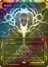 [FOIL] 死せる生/Living End (ショーケース・海外産ブースター版) 【日本語版】 [SOA-黒MR]