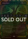 [FOIL] 森林の目覚め/Awaken the Woods ● (ショーケース・日本産ブースター版) 【日本語版】 [SOA-緑MR]