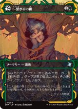 一繋がりの根/Shared Roots (ショーケース版) 【日本語版】 [SOA-緑U]