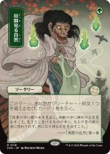 垣間見る自然/Glimpse of Nature (全面アート版) 【日本語版】 [SOA-緑R]