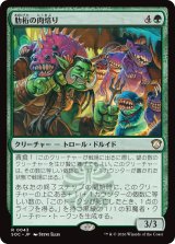 肋桁の肉焙り/Ribtruss Roaster 【日本語版】 [SOC-緑R]