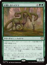 心優しきハイドラ/Benevolent Hydra 【日本語版】 [SOC-緑R]