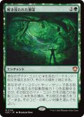 解き放たれた繁栄/Unbound Flourishing 【日本語版】 [SOC-緑MR]