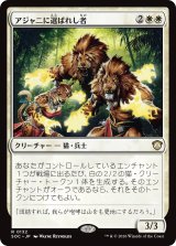 アジャニに選ばれし者/Ajani's Chosen 【日本語版】 [SOC-白R]