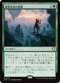 精霊信者の覚醒/Animist's Awakening 【日本語版】 [SOC-緑R]
