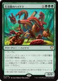 生命線のハイドラ/Lifeblood Hydra 【日本語版】 [SOC-緑R]