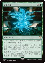 マナの花/Mana Bloom 【日本語版】 [SOC-緑R]