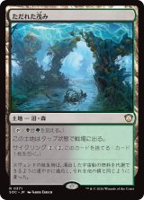 ただれた茂み/Festering Thicket 【日本語版】 [SOC-土地R]