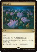 睡蓮の原野/Lotus Field 【日本語版】 [SOC-土地R]