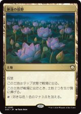 睡蓮の原野/Lotus Field 【日本語版】 [SOC-土地R]