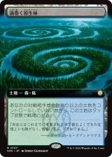 渦巻く原生林/Turbulent Wilderness (拡張アート版) 【日本語版】 [SOC-土地R]