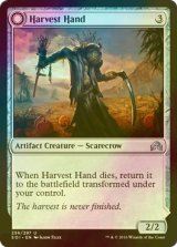 [FOIL] 収穫の手/Harvest Hand 【英語版】 [SOI-灰U]