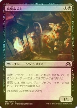 画像1: [FOIL] 腐臭ネズミ/Rancid Rats 【日本語版】 [SOI-黒C]