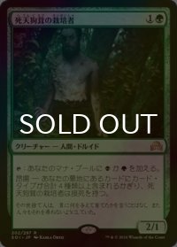 [FOIL] 死天狗茸の栽培者/Deathcap Cultivator 【日本語版】 [SOI-緑R]