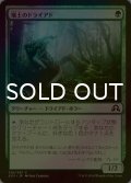[FOIL] 壌土のドライアド/Loam Dryad 【日本語版】 [SOI-緑C]