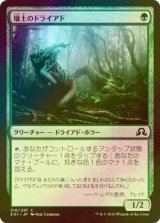 [FOIL] 壌土のドライアド/Loam Dryad 【日本語版】 [SOI-緑C]