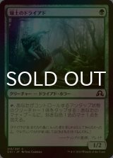 [FOIL] 壌土のドライアド/Loam Dryad 【日本語版】 [SOI-緑C]