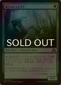 [FOIL] 壌土のドライアド/Loam Dryad 【日本語版】 [SOI-緑C]