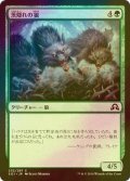 [FOIL] 茨隠れの狼/Thornhide Wolves 【日本語版】 [SOI-緑C]