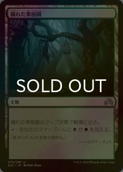 画像1: [FOIL] 穢れた果樹園/Foul Orchard 【日本語版】 [SOI-土地U]