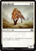 悪魔の棲家の狐/Devilthorn Fox 【日本語版】 [SOI-白C]