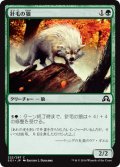 針毛の狼/Quilled Wolf 【日本語版】 [SOI-緑C]