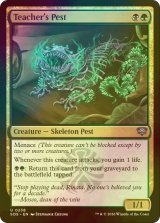 [FOIL] 先生の害獣/Teacher's Pest 【英語版】 [SOS-金U]