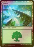 [FOIL] 森/Forest No.281 【英語版】 [SOS-土地C]