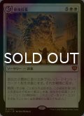 [FOIL] 修復授業/Restoration Seminar (海外産ブースター版) 【日本語版】 [SOS-白MR]