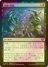 [FOIL] 秘儀の前兆/Arcane Omens 【日本語版】 [SOS-黒U]