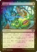 [FOIL] 解剖実習/Dissection Practice 【日本語版】 [SOS-黒U]