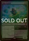 [FOIL] 豊穣の名誉教授/Emeritus of Abundance (海外産ブースター版) 【日本語版】 [SOS-緑MR]
