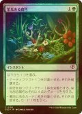 [FOIL] 栄光ある腐朽/Glorious Decay 【日本語版】 [SOS-緑C]