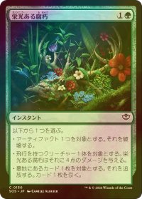 [FOIL] 栄光ある腐朽/Glorious Decay 【日本語版】 [SOS-緑C]