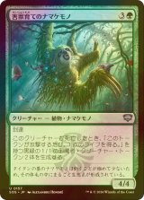 [FOIL] 害獣育てのナマケモノ/Pestbrood Sloth 【日本語版】 [SOS-緑U]
