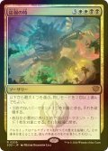 [FOIL] 応報の時/Moment of Reckoning 【日本語版】 [SOS-金R]