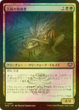 [FOIL] 古株の教育者/Old-Growth Educator 【日本語版】 [SOS-金U]