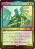[FOIL] 証明するもの、クアンドリクス/Quandrix, the Proof (海外産ブースター版) 【日本語版】 [SOS-金MR]