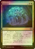 [FOIL] 樹根操作/Root Manipulation 【日本語版】 [SOS-金U]