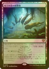 [FOIL] 死天狗茸の林間地/Deathcap Glade 【日本語版】 [SOS-土地R]