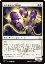 稽古を積んだ討論者/Rehearsed Debater 【日本語版】 [SOS-白C]