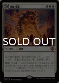 修復授業/Restoration Seminar 【日本語版】 [SOS-白MR]