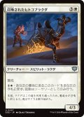 召喚されたヒトコブラクダ/Summoned Dromedary 【日本語版】 [SOS-白U]