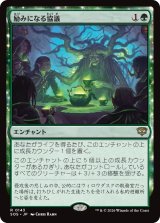 励みになる協議/Comforting Counsel 【日本語版】 [SOS-緑R]