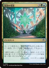 逆説の受諾/Embrace the Paradox 【日本語版】 [SOS-金C]