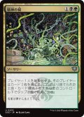精神の根/Mind Roots 【日本語版】 [SOS-金U]