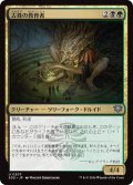 古株の教育者/Old-Growth Educator 【日本語版】 [SOS-金U]