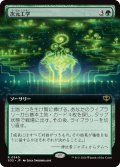 次元工学/Planar Engineering (拡張アート版) 【日本語版】 [SOS-緑R]