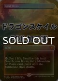 [FOIL] 乾燥台地/Arid Mesa No.114 (全面アート版・ドラゴンスケイル仕様) 【英語版】 [SPG-土地MR]